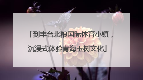 到丰台北粮国际体育小镇，沉浸式体验青海玉树文化