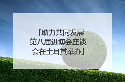 助力共同发展 第八届进博会座谈会在土耳其举办