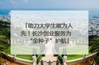 助力大学生敢为人先！长沙创业服务为“金种子”护航