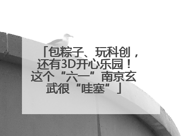 包粽子、玩科创，还有3D开心乐园！这个“六一”南京玄武很“哇塞”
