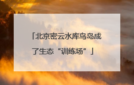 北京密云水库鸟岛成了生态“训练场”