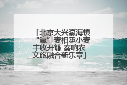 北京大兴瀛海镇“瀛”麦相承小麦丰收开镰 奏响农文旅融合新乐章