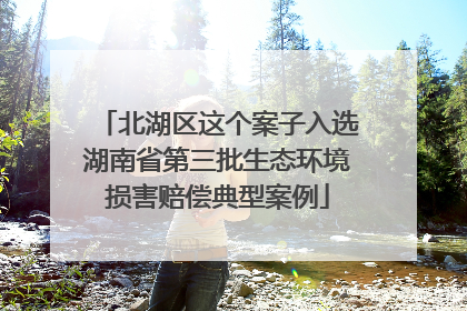 北湖区这个案子入选湖南省第三批生态环境损害赔偿典型案例