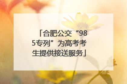 合肥公交“985专列”为高考考生提供接送服务