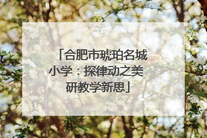 合肥市琥珀名城小学：探律动之美 研教学新思