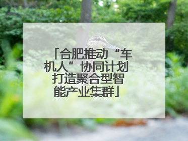 合肥推动“车机人”协同计划 打造聚合型智能产业集群