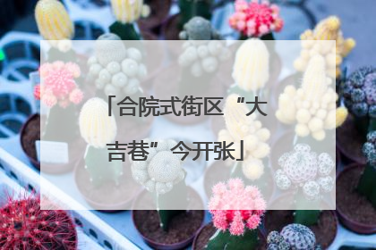 合院式街区“大吉巷”今开张