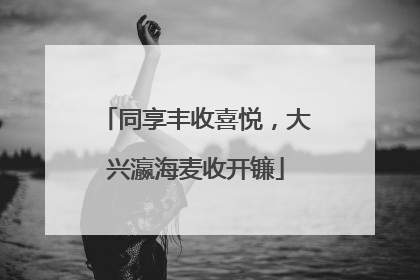 同享丰收喜悦，大兴瀛海麦收开镰