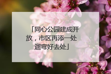 同心公园建成开放，市区再添一处遛弯好去处