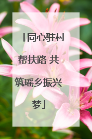 同心驻村帮扶路 共筑瑶乡振兴梦