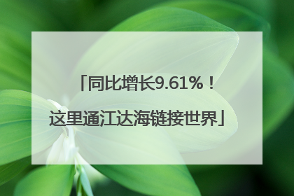同比增长9.61%！这里通江达海链接世界