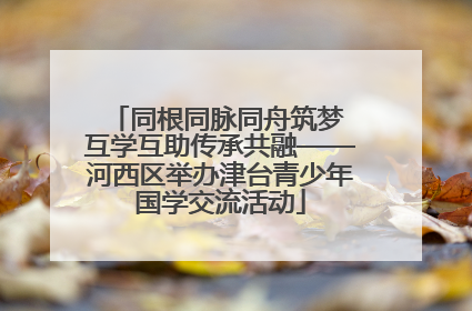 同根同脉同舟筑梦 互学互助传承共融——河西区举办津台青少年国学交流活动