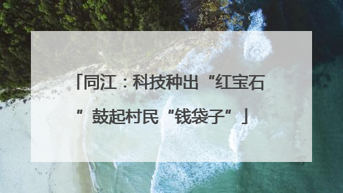 同江：科技种出“红宝石”鼓起村民“钱袋子”