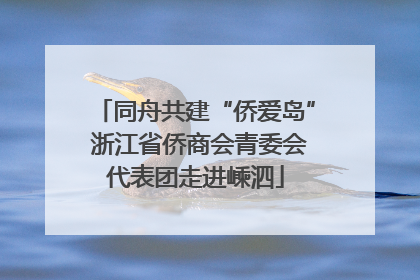 同舟共建“侨爱岛” 浙江省侨商会青委会代表团走进嵊泗