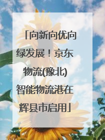 向新向优向绿发展！京东物流(豫北)智能物流港在辉县市启用