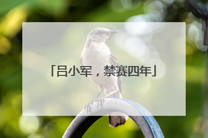 吕小军，禁赛四年
