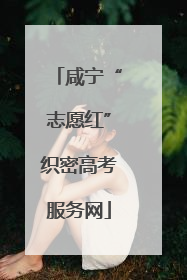咸宁“志愿红”织密高考服务网