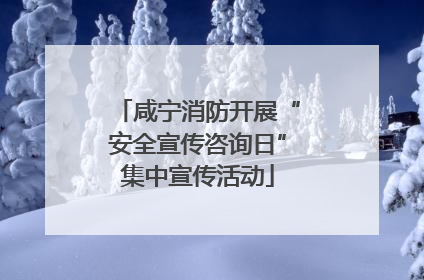 咸宁消防开展“安全宣传咨询日”集中宣传活动