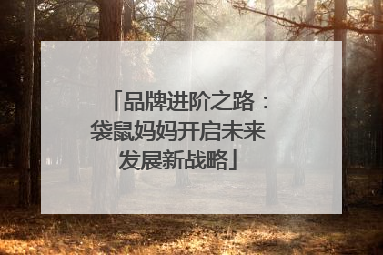 品牌进阶之路：袋鼠妈妈开启未来发展新战略
