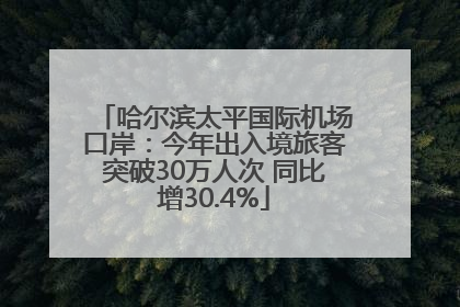 哈尔滨太平国际机场口岸：今年出入境旅客突破30万人次 同比增30.4%