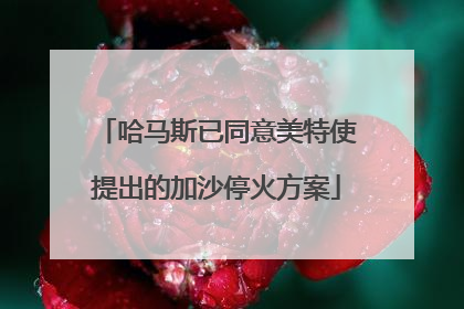 哈马斯已同意美特使提出的加沙停火方案