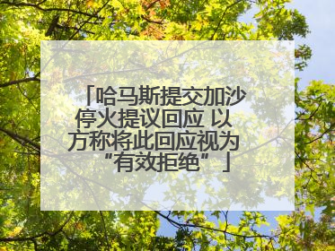 哈马斯提交加沙停火提议回应 以方称将此回应视为“有效拒绝”
