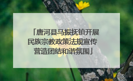 唐河县马振抚镇开展民族宗教政策法规宣传 营造团结和谐氛围