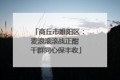商丘市睢阳区：麦浪滚滚战正酣 干群同心保丰收