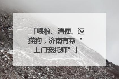 喂粮、清便、逗猫狗，济南有帮“上门宠托师”