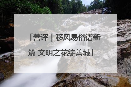 善评｜移风易俗谱新篇 文明之花绽善城