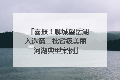 喜报！聊城望岳湖入选第二批省级美丽河湖典型案例