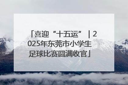 喜迎“十五运”｜2025年东莞市小学生足球比赛圆满收官
