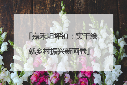 嘉禾坦坪镇：实干绘就乡村振兴新画卷