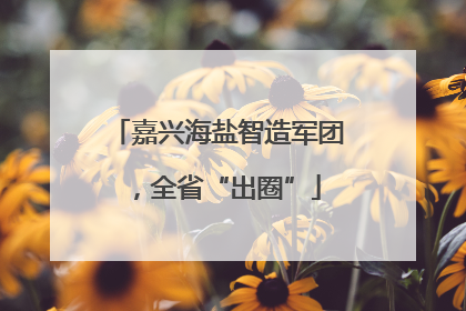 嘉兴海盐智造军团，全省“出圈”