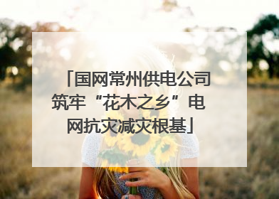 国网常州供电公司筑牢“花木之乡”电网抗灾减灾根基