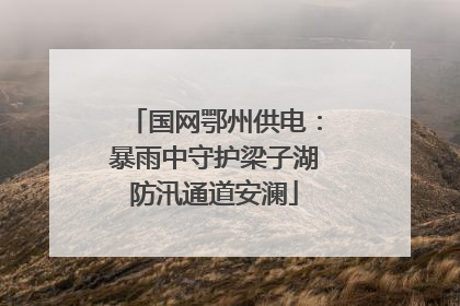 国网鄂州供电：暴雨中守护梁子湖防汛通道安澜