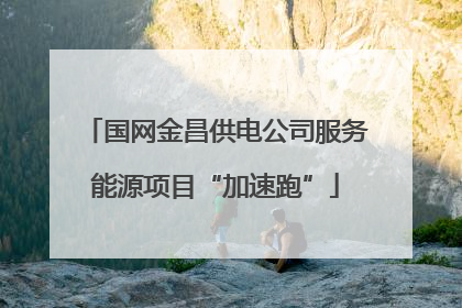 国网金昌供电公司服务能源项目“加速跑”