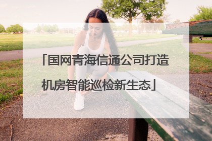 国网青海信通公司打造机房智能巡检新生态