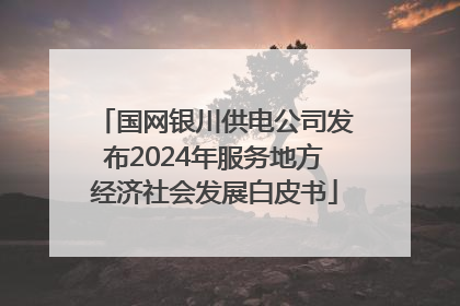 国网银川供电公司发布2024年服务地方经济社会发展白皮书