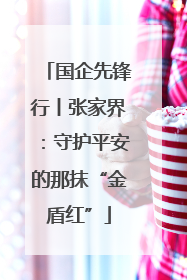国企先锋行丨张家界：守护平安的那抹“金盾红”
