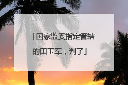 国家监委指定管辖的田玉军，判了