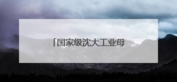 国家级沈大工业母机集群对接会举办