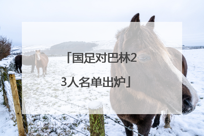 国足对巴林23人名单出炉