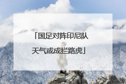 国足对阵印尼队 天气或成拦路虎