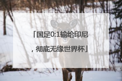 国足0:1输给印尼，彻底无缘世界杯