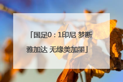 国足0∶1印尼 梦断雅加达 无缘美加墨