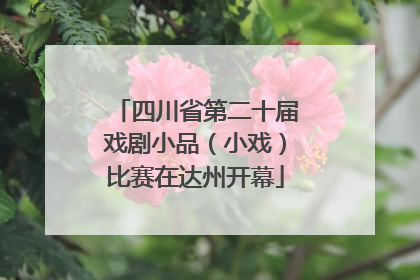 四川省第二十届戏剧小品（小戏）比赛在达州开幕