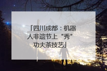 四川成都：机器人非遗节上“秀”功夫茶技艺