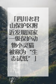 四川老君山保护区附近发现国家一级保护动物小灵猫 被称为“生态试纸”