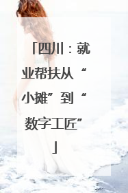 四川：就业帮扶从“小摊”到“数字工匠”